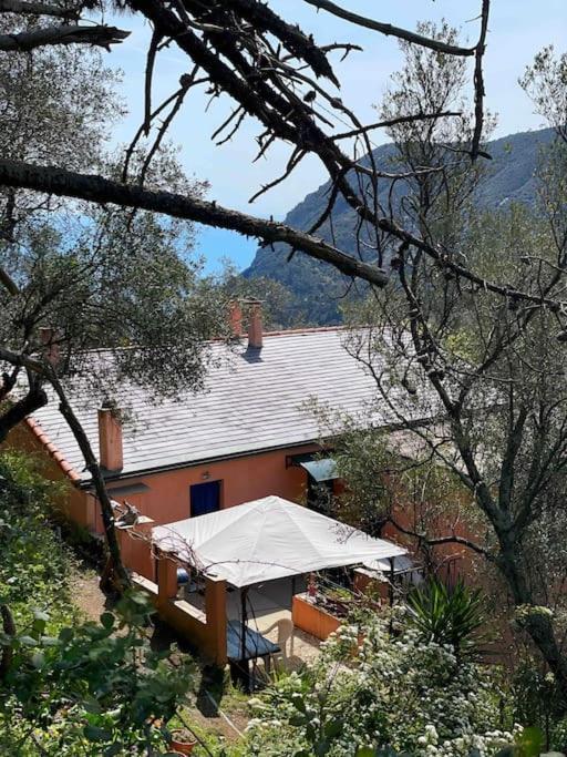 Villa La Gaiada Monterosso al Mare Exterior foto