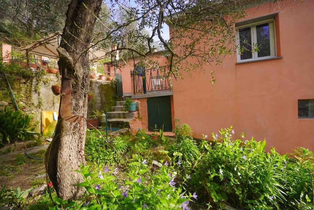 Villa La Gaiada Monterosso al Mare Exterior foto