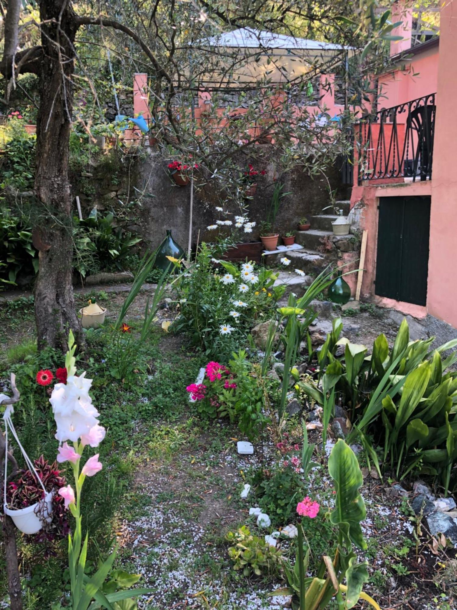 Villa La Gaiada Monterosso al Mare Exterior foto